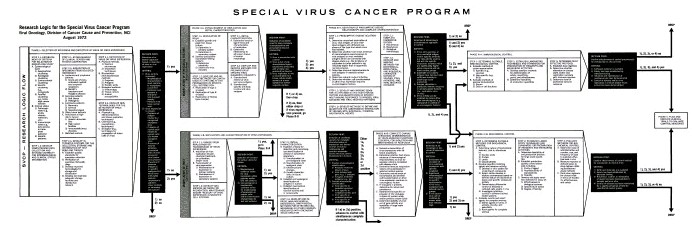 1971 HIV/AIDS Flowchart Research Logic for the Special Virus Cancer Program