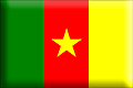 Flag of Cameroon