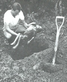 Victims of Gowon's genocide/ Chinua Achebe Foundation