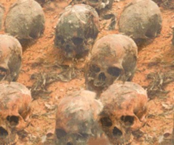BNW Human Skulls