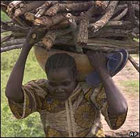 Nigerian woman carrying firewood